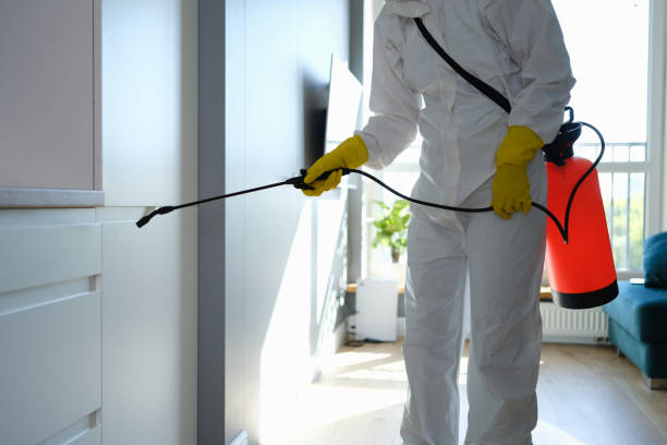 Best Mold Testing and Inspection Services in Smyrna, GA